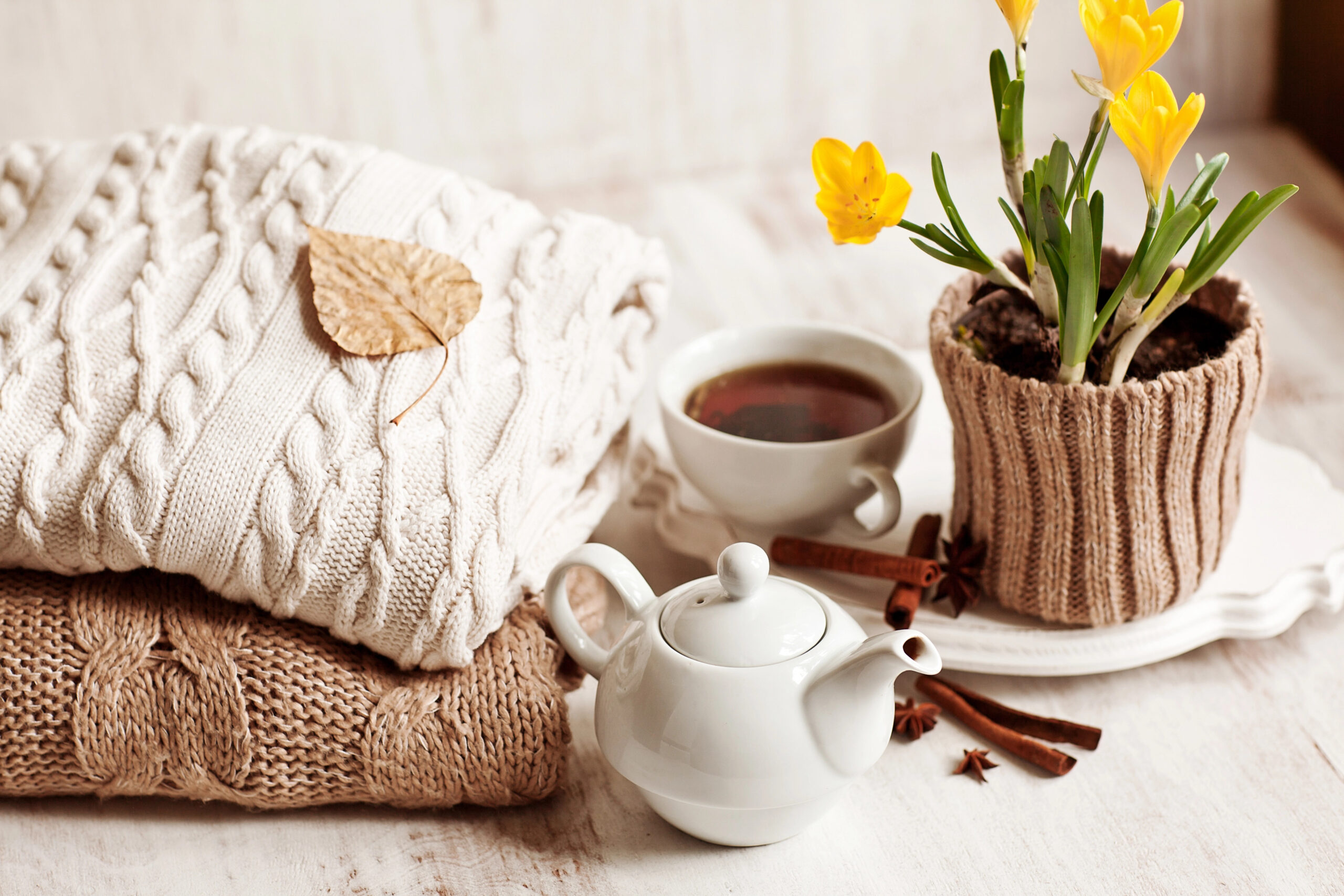 Best Fall Sweaters on Amazon